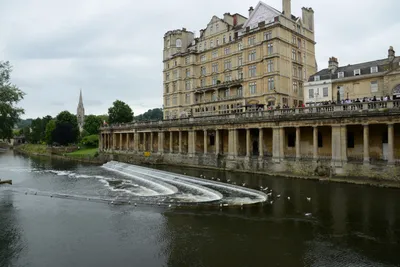 DSC_2564 (Large).JPG